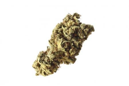 Pineapple Kush (Amsterdam Genetics)