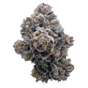 Pink Glitterbomb