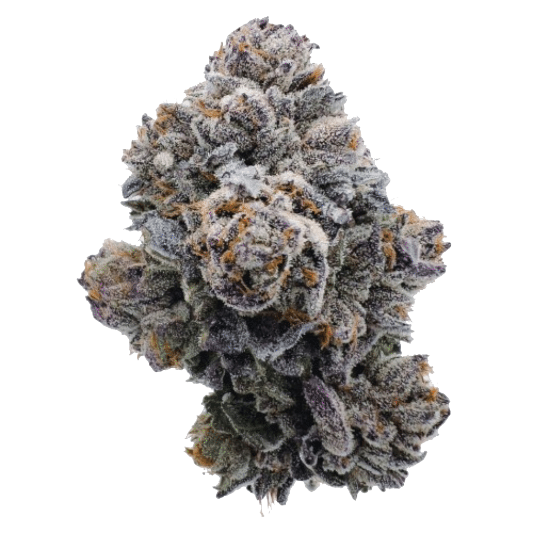 Pink Glitterbomb