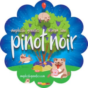 Pinot Noir Auto