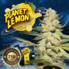 Planet Lemon 710 Special Pack