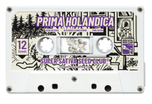 Prima Holandica Reg.