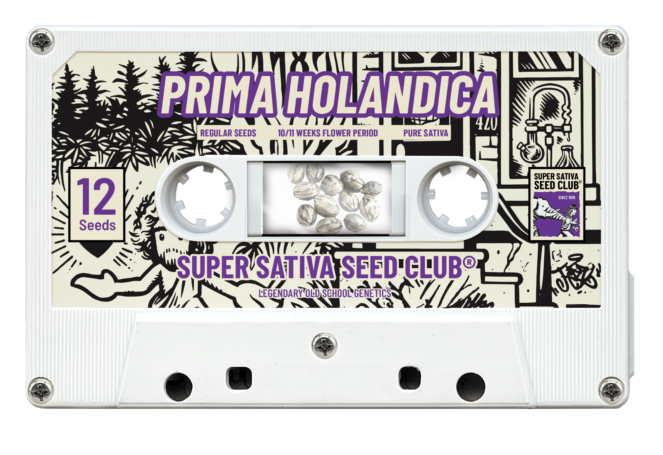 Prima Holandica Reg.