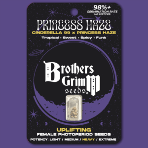 Princess Haze