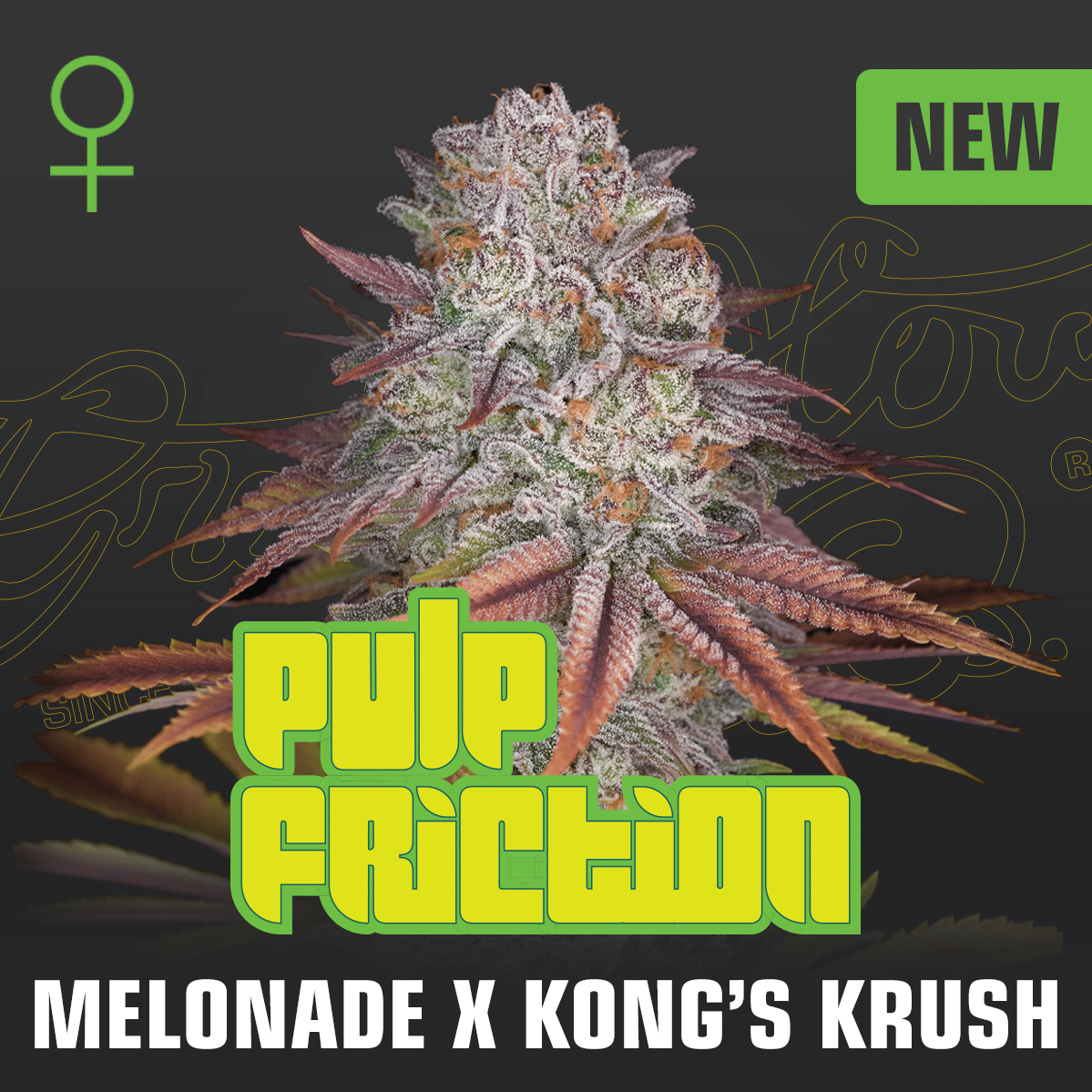 Pulp Friction