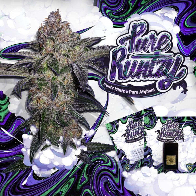 Pure Runtzy Limited