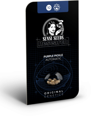 Purple Pickle Auto