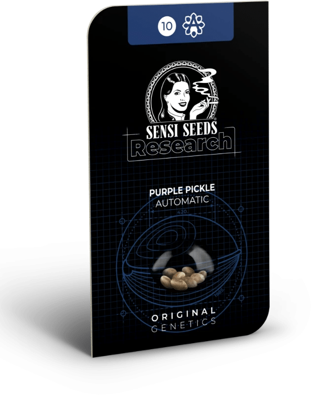 Purple Pickle Auto