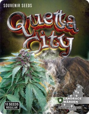 Quetta City reg.