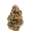Red Banana Berry Double XL Auto