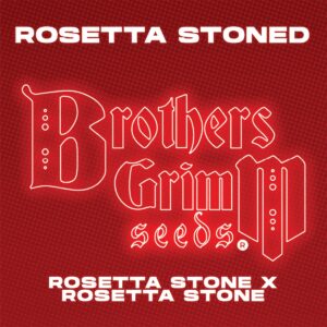 Rosetta Stone