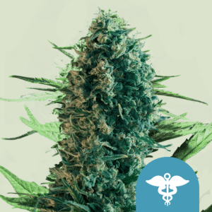 Royal Medic CBD