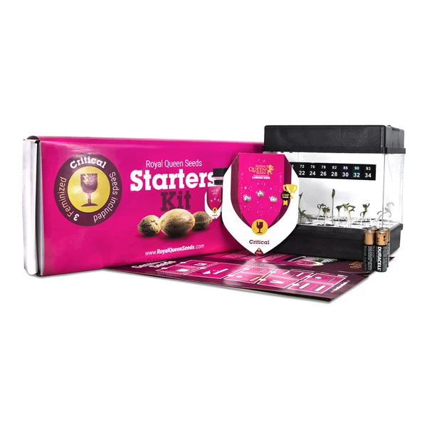 RQS Critical Feminisierte Starters Kit