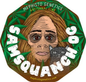 Samsquanch OG Auto