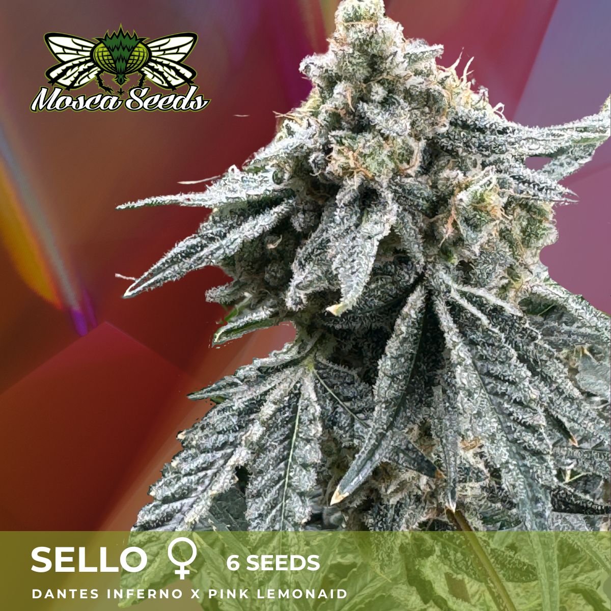 Sello