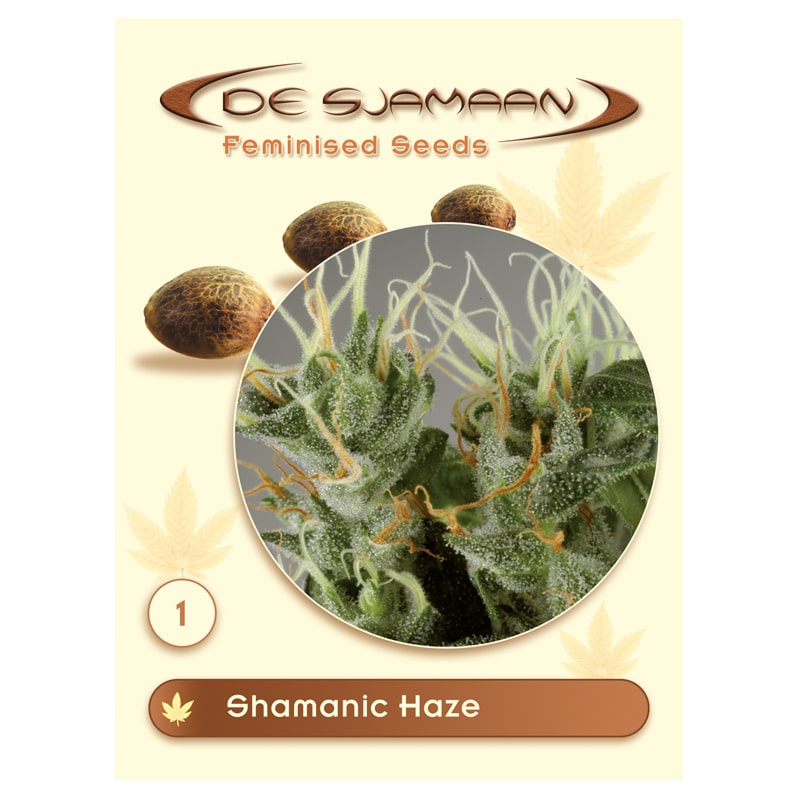 Shamanic Haze