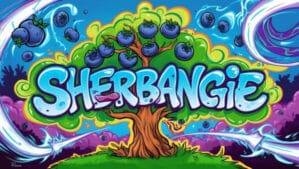 Sherbangie