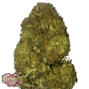 Skunky Monkey Auto