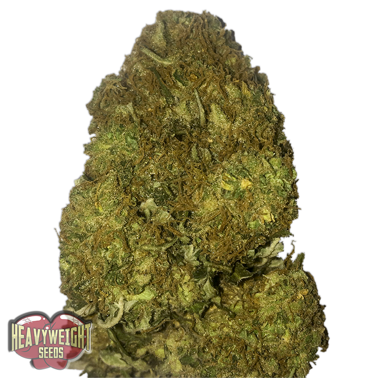 Skunky Monkey Auto