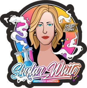 Skylar White Auto