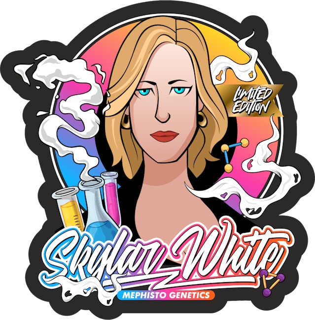 Skylar White Auto