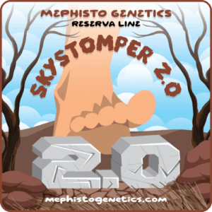 Skystomper 2.0 Auto