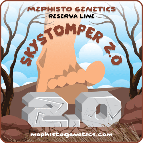 Skystomper 2.0 Auto