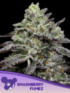 Smashberry Fumez