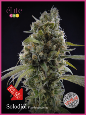 Solodiol Classic CBD