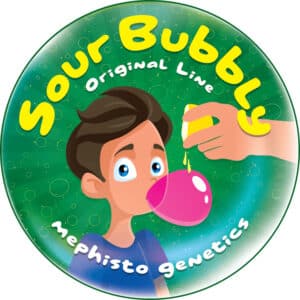 Sour Bubbly Auto