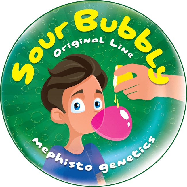 Sour Bubbly Auto