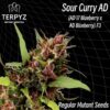 Sour Curry AD Reg.