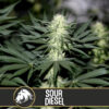 Sour Diesel (BlimBurn Seeds)