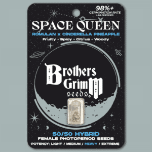 Space Queen
