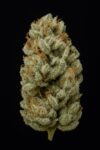 Starlock OG