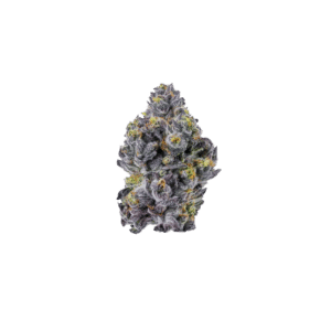 Sticky Wasabi Triploid F1