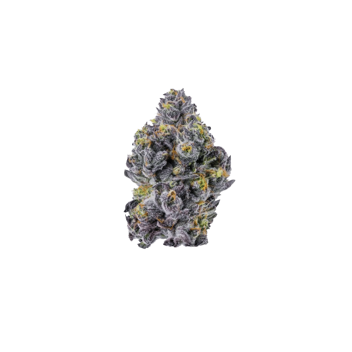 Sticky Wasabi Triploid F1