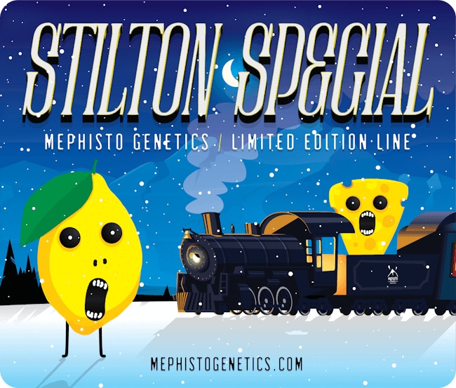 Stilton Special Auto