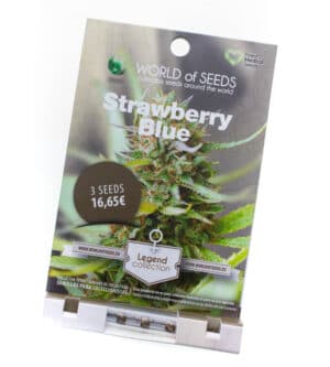 Strawberry Blue