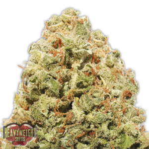 Strawberry Cake