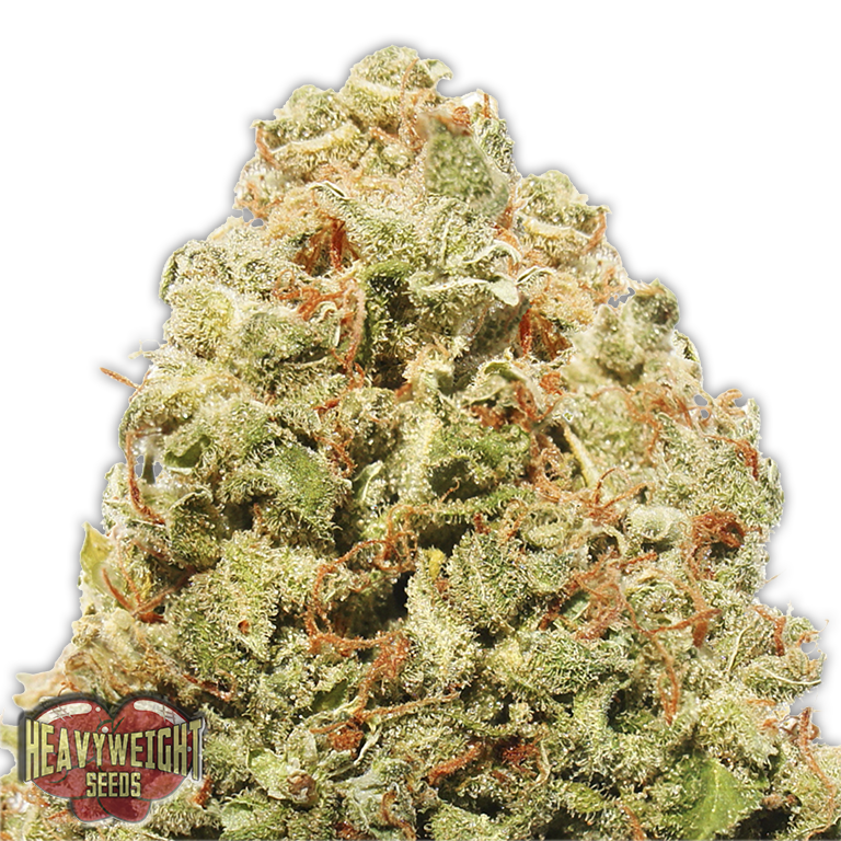 Strawberry Cake