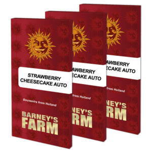 Strawberry Cheesecake Auto (Barney´s Farm)