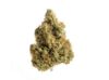Strawberry Glue (Amsterdam Genetics)