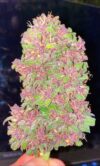 Strawberry Milkshake Auto