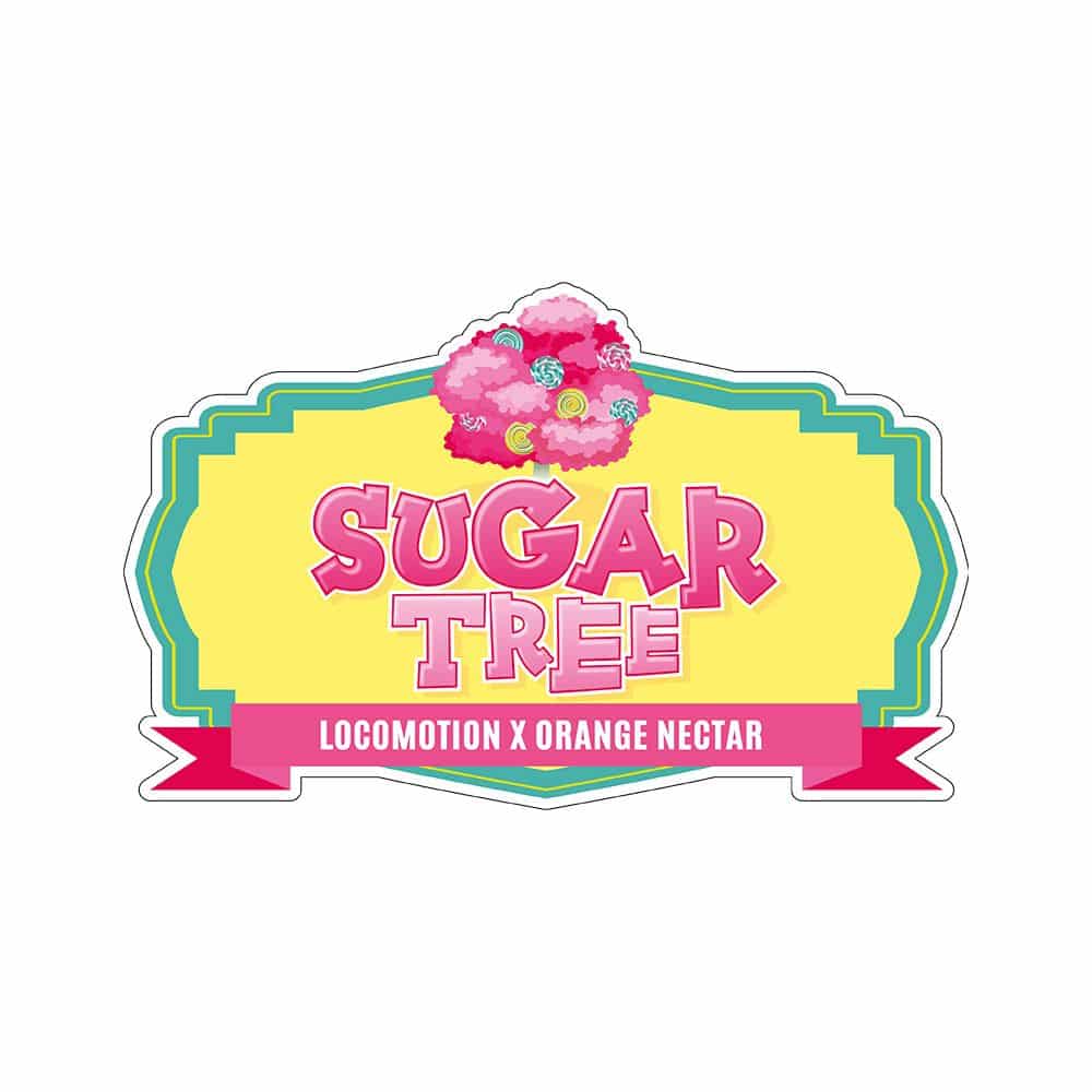 Sugar Tree