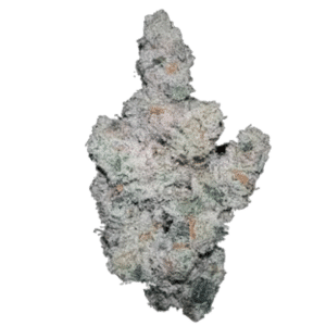 Super Boof (Growers Choice)