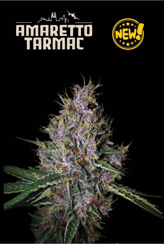Superior Amaretto Tarmac