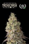 Superior Mack and Crack Auto