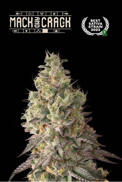 Superior Mack and Crack Auto