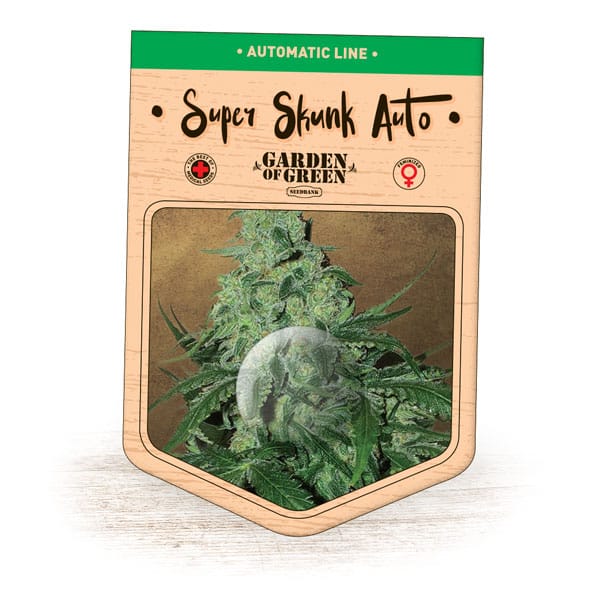 Super Skunk Auto (Garden of Green)